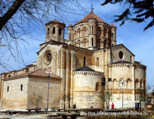 toro-zamora8.jpg