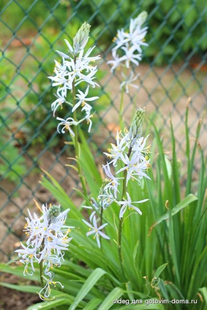 2013_05_15_1316.jpg