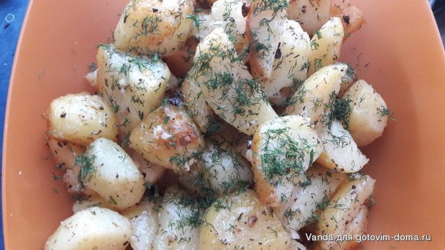 IMG_20161027_100721_11.jpg