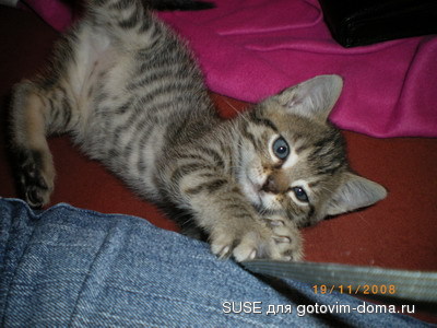IMGP1426_изм-е размера.JPG