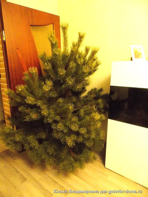 DSCN9413.jpg