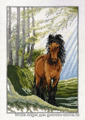 12-3336 summerhorse.jpg