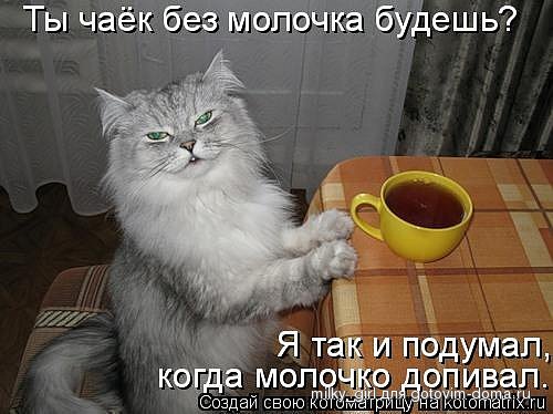 x_143a3856.jpg
