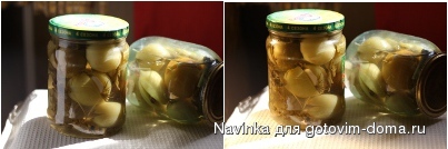 помидоры2_сравнение.JPG