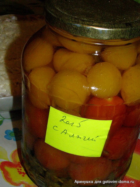 P1231125.jpg