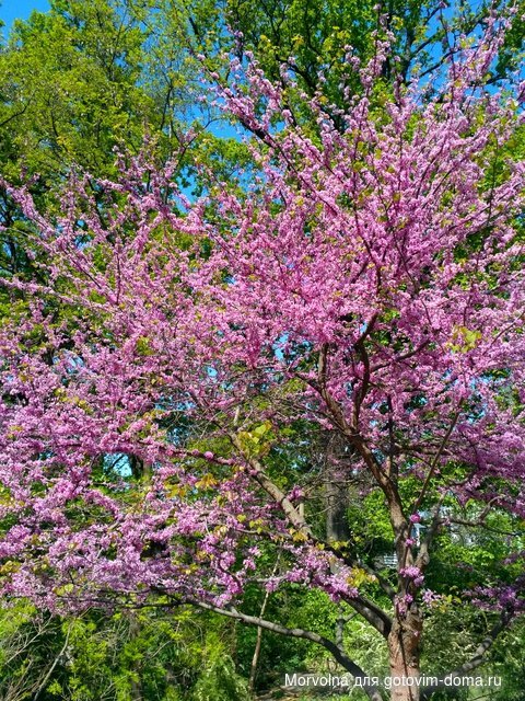 IMG_20170507_111603_HDR.jpg