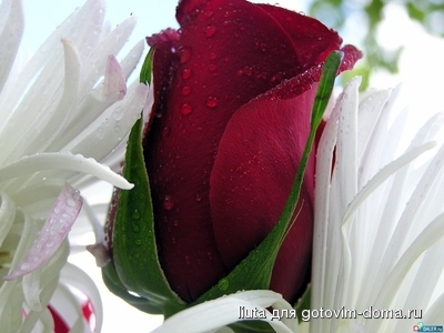 qk440dp04rh2dm2rkyus8m9879k6khuq_4.jpg