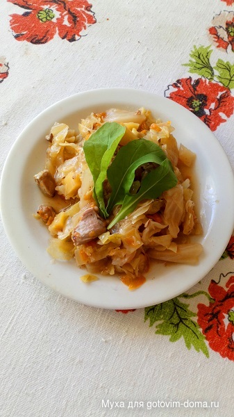 Капуста тушеная с мясом.JPG
