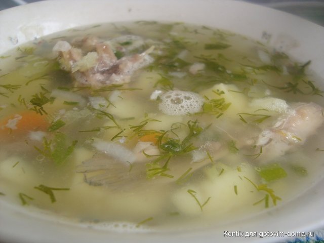 DSC05209.JPG