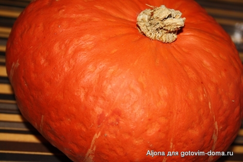 kürbis.JPG