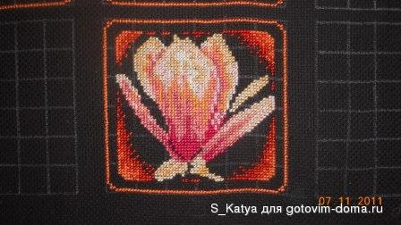 DSCN2726.JPG