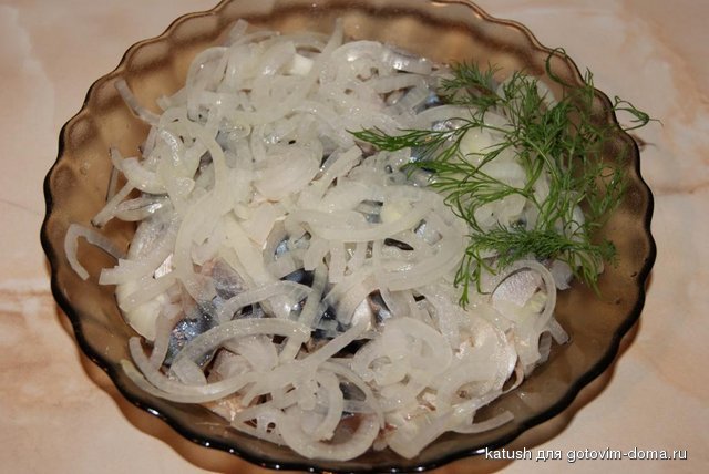 DSC02474.JPG
