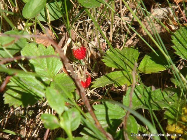 DSC06744.JPG
