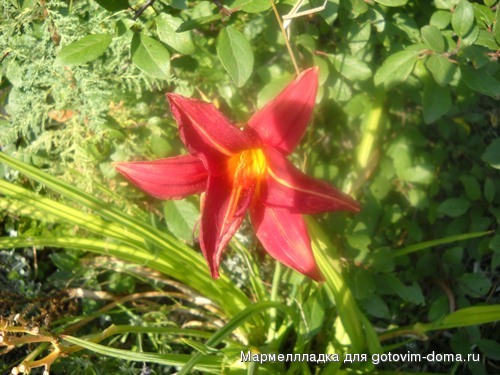 DSCN0178.jpg