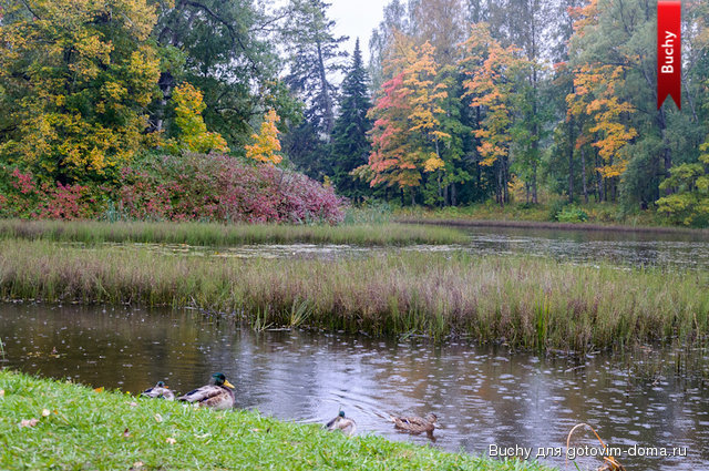 untitled_23.09.12_052.jpg