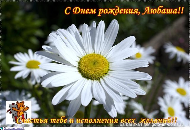 0c37fa414396t.jpg