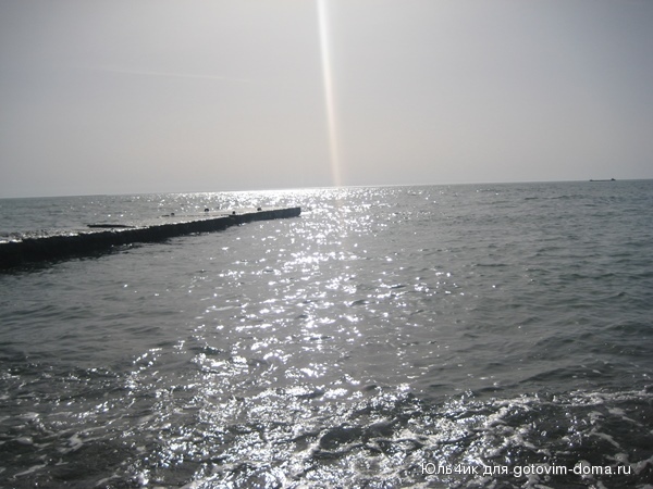 IMG_3049.JPG