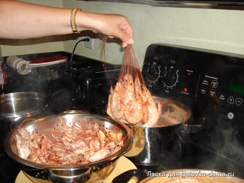 Picture-1543.gif