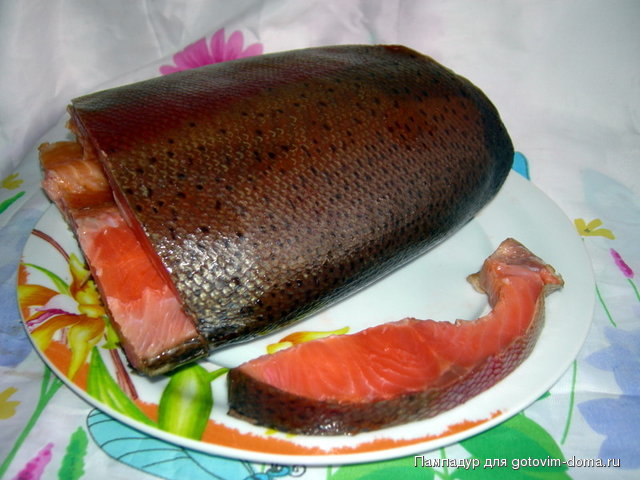 DSCN9525.JPG