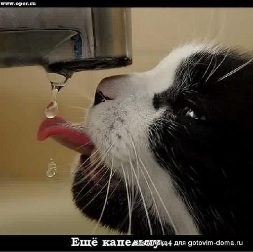 и капля.jpg