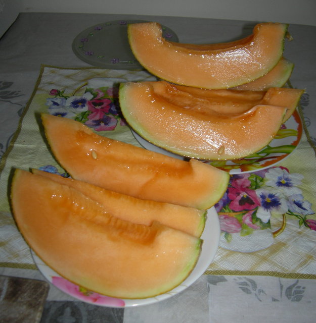 DSCN8462.JPG