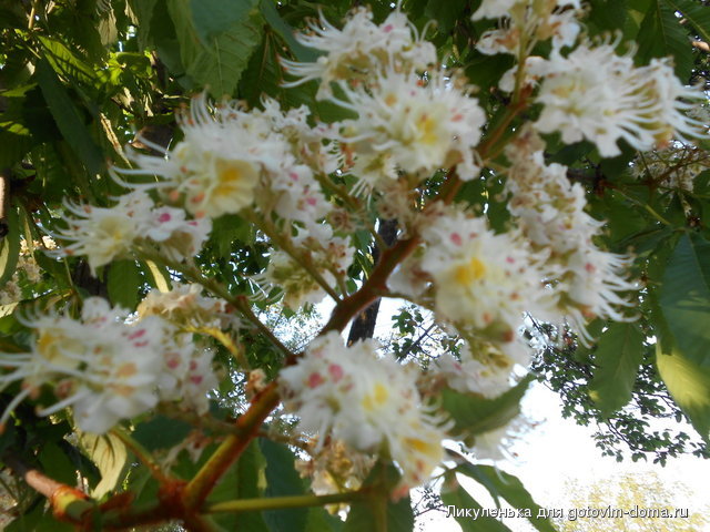 DSCN0658.JPG