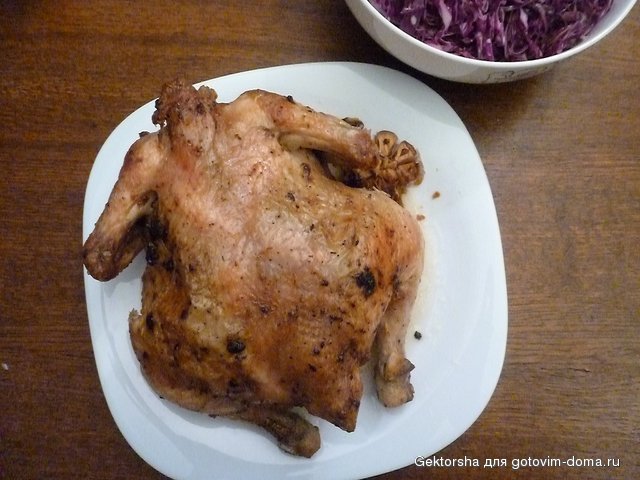 P1020570.JPG