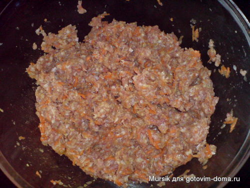 Bild 1072.jpg