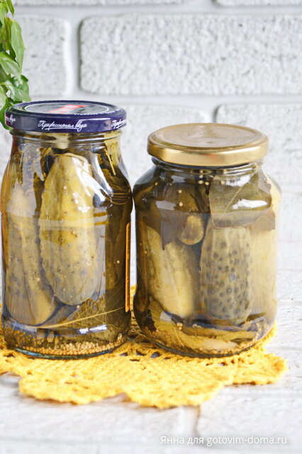 Маринованные огурчики ( семейный рецепт ).JPG