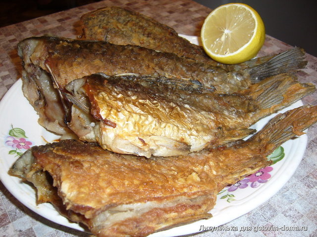 P1060226.JPG