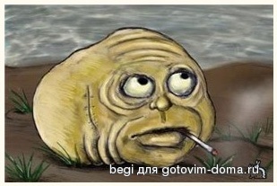 колоб.jpg
