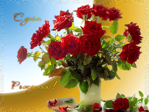 d956dd078c8e940f29de36e87057929e_16782.gif