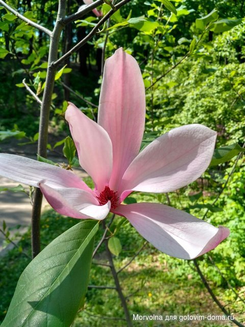 IMG_20170507_114831_HDR.jpg