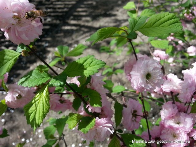 20130501_135454.jpg
