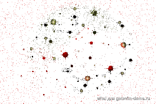 004.gif