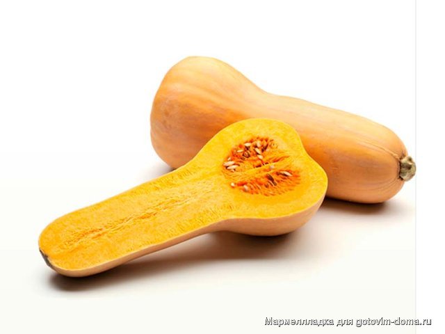 butternut_squash_0.jpg