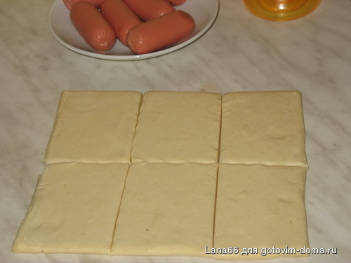 zaici1.jpg