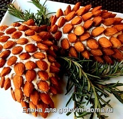 шишка.jpg