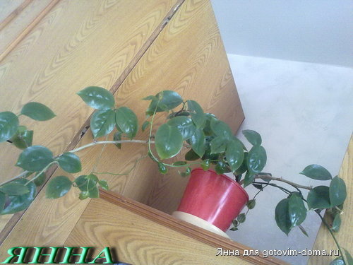27022010187.jpg