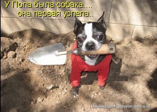 735747 uspel.jpg