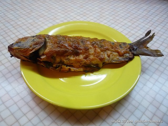 P1130993.JPG