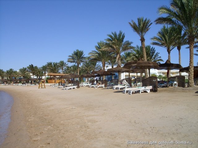 SS850699.JPG