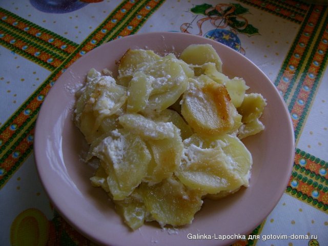 DSC08426.JPG