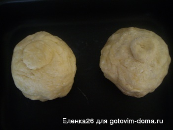 IMGP1485.JPG