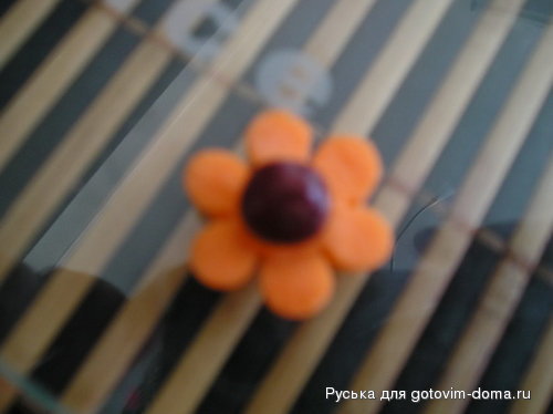 P1010204.jpg