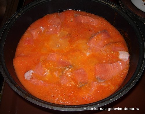 DSCN2051.JPG