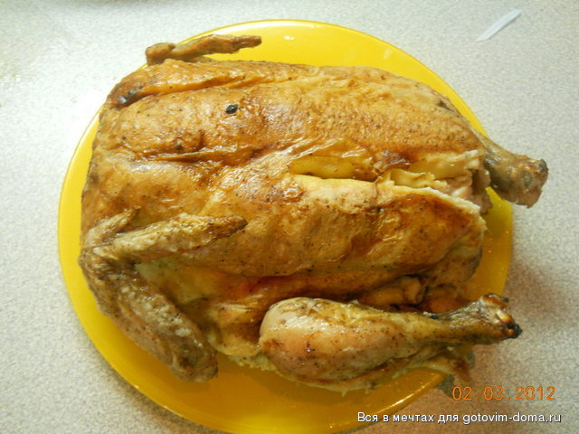 DSCN1853.jpg