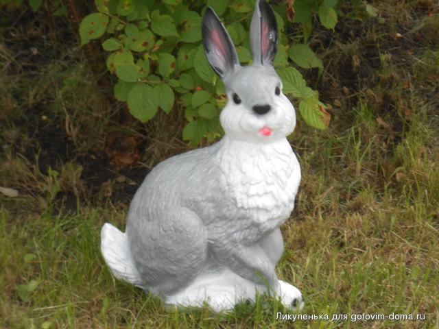 DSCN0105.JPG