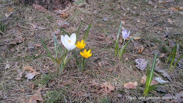 2013-05-03-626.jpg