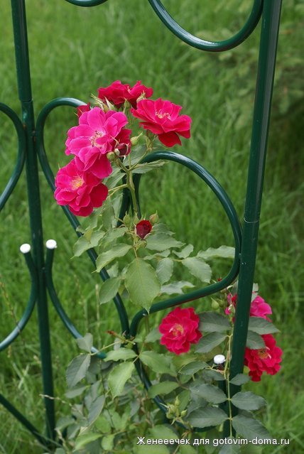 DSC04299.JPG